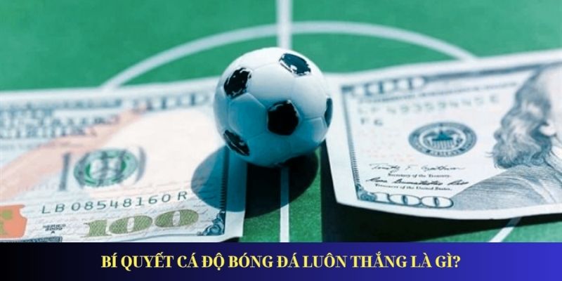 Bí quyết cá độ bóng đá luôn thắng là gì?